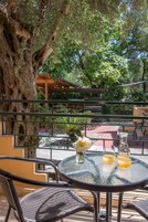 双人房或双床房 | 露台