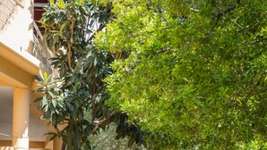 Un chemin bordé d’arbres et un bâtiment doté d’un balcon.