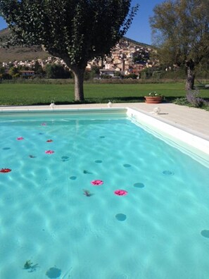 Outdoor pool - Villa Palentina Country House (Scurcola Marsicana)