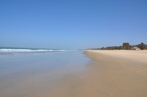 On the beach, 3 beach bars - Leo's Beach Hotel & Restaurant - Adults Only (Brufut)