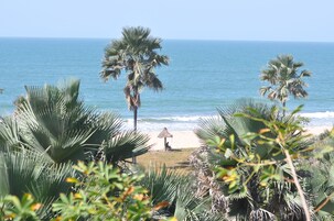 Una playa con palmeras y una estructura de techo de paja.
