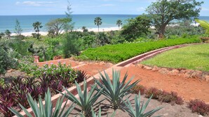A landscaped garden with a variety of plants and a pathway leading to a beach. - Leo's Beach Hotel & Restaurant - Adults Only (Brufut)