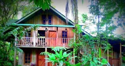 La Gamba Rainforest Lodge