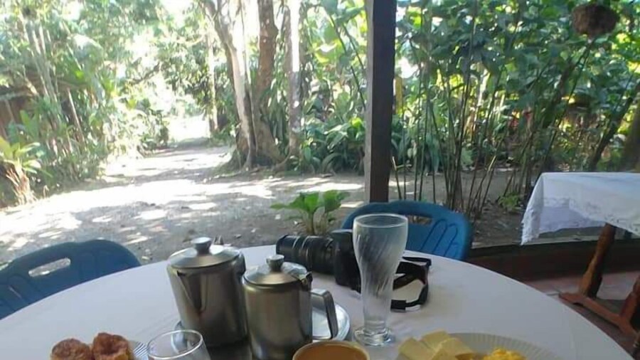La Gamba Rainforest Lodge