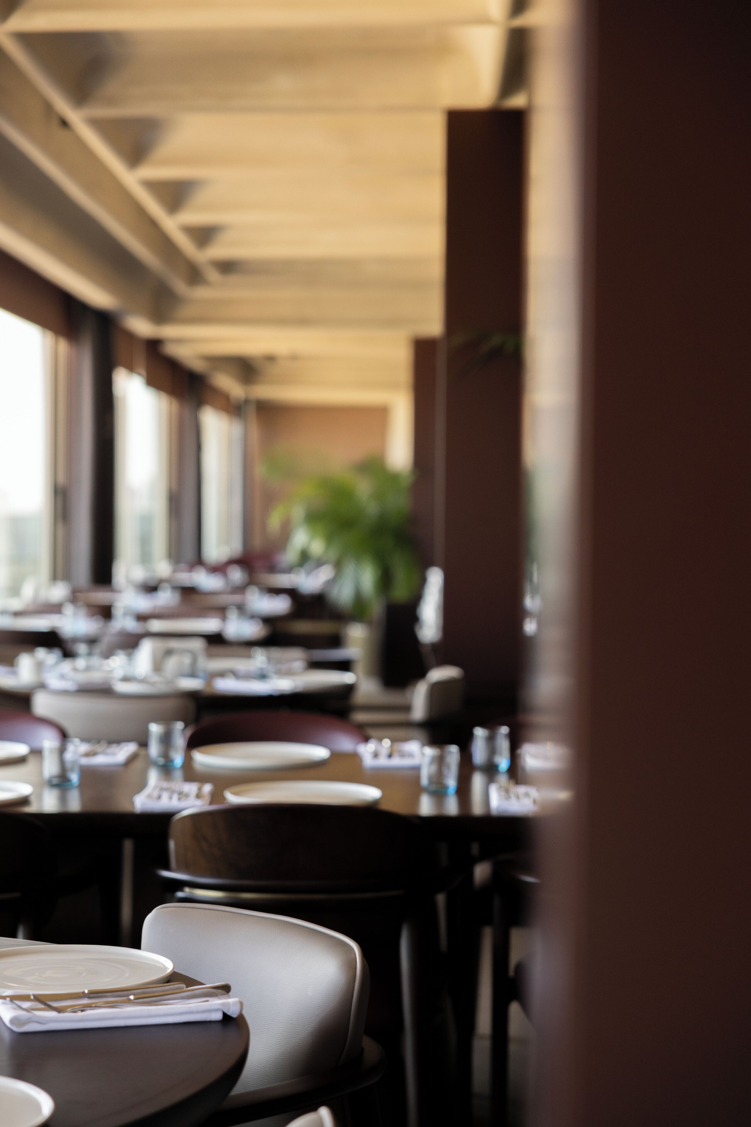 A restaurant with tables set for dining, chairs, and a potted plant in the background.