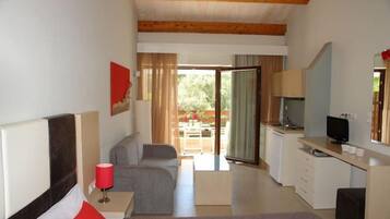 Studio | Living area | TV