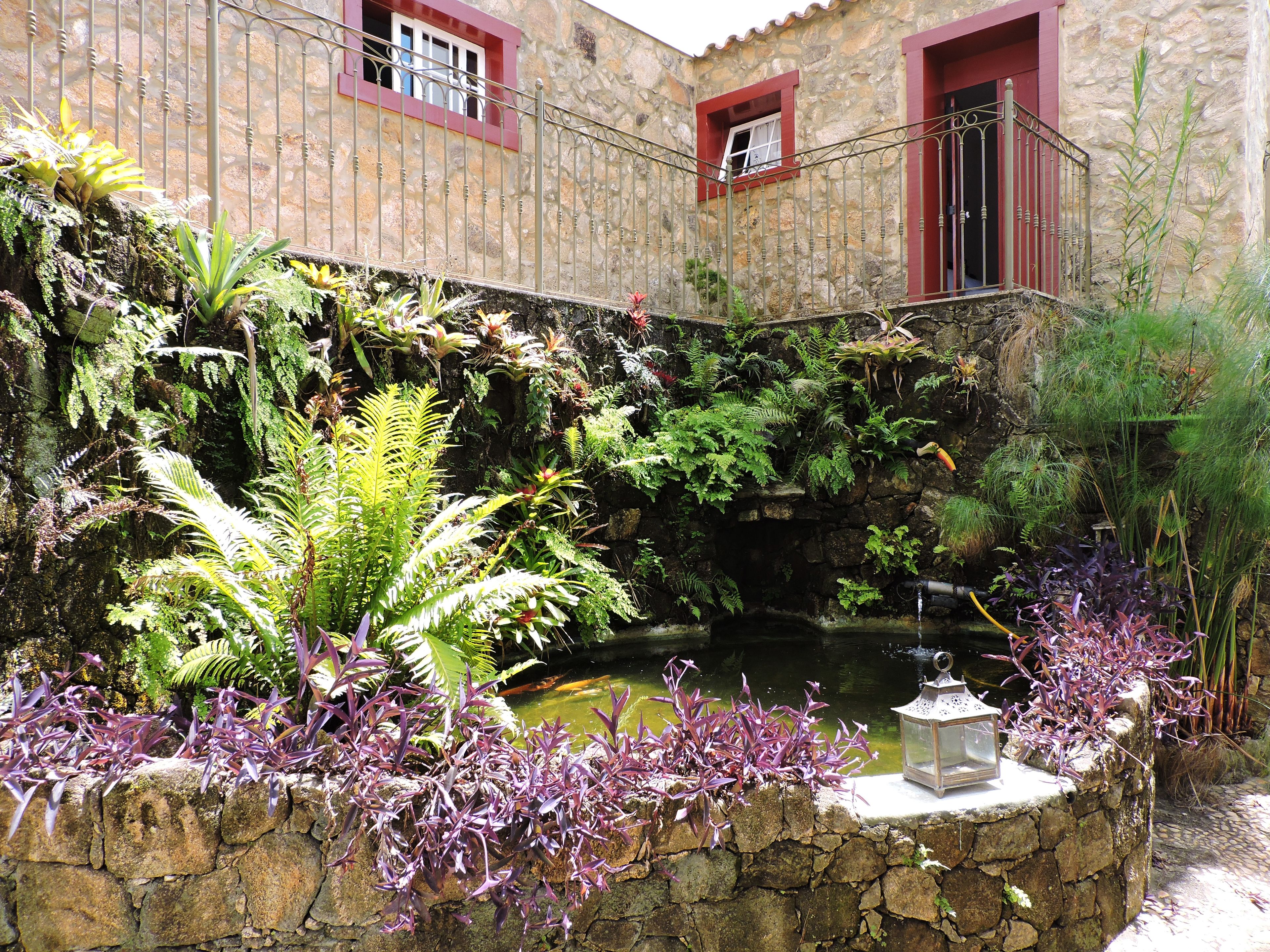 Vista desde la propiedad