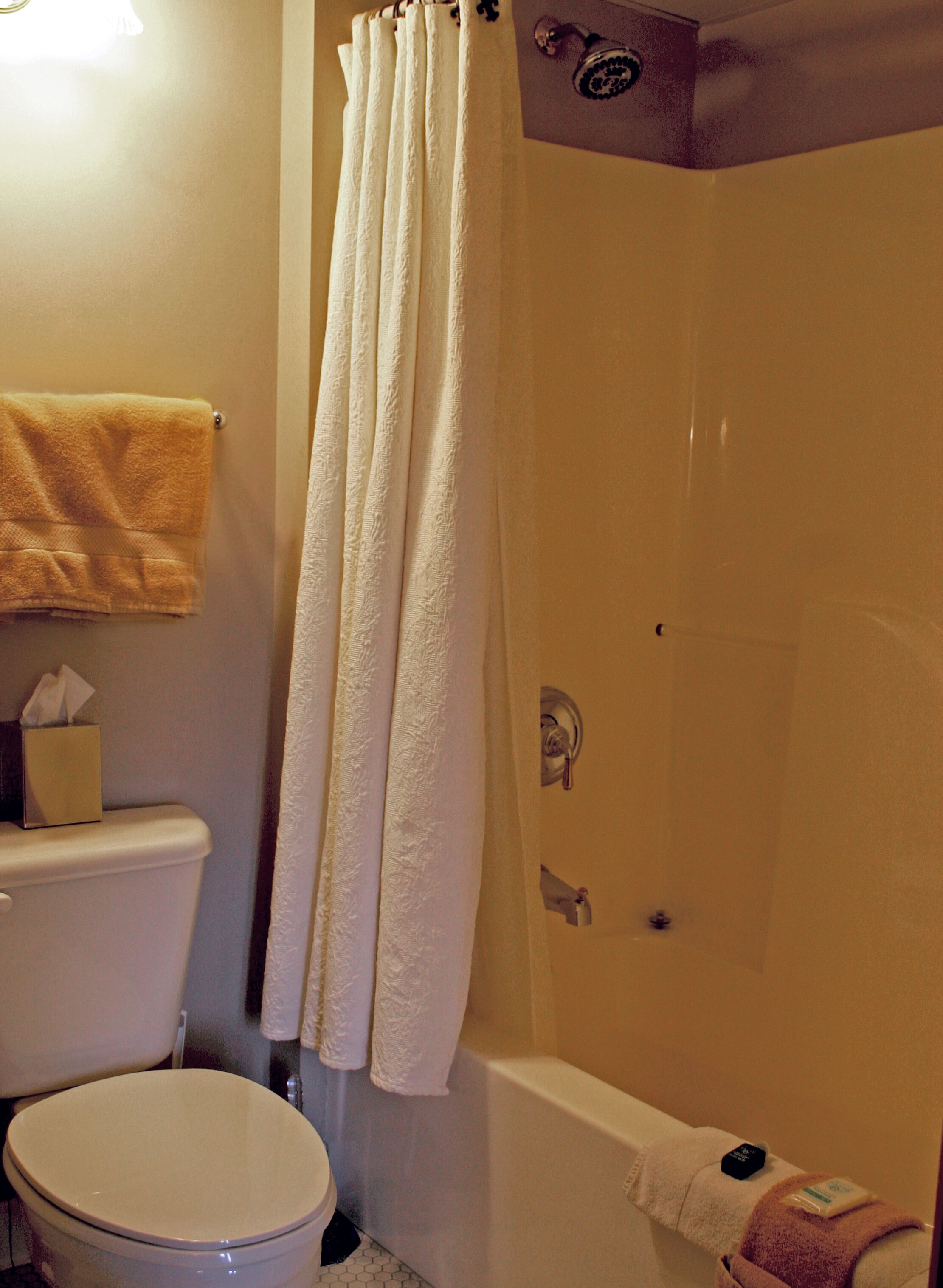 A bathroom with a toilet, a shower curtain, and a bathtub.
