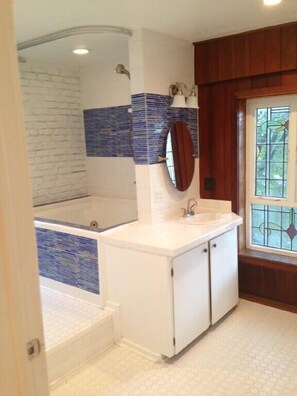 Bathroom - Hemmerling House (Jackson)