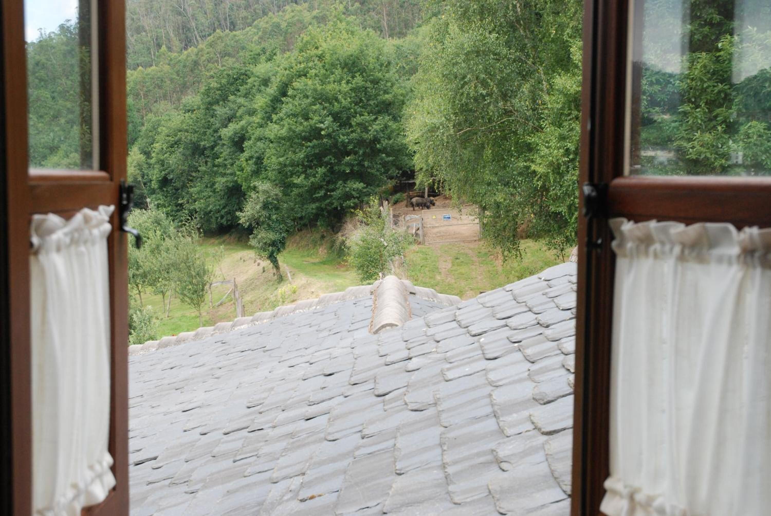 Foto - La Casona de Amaido