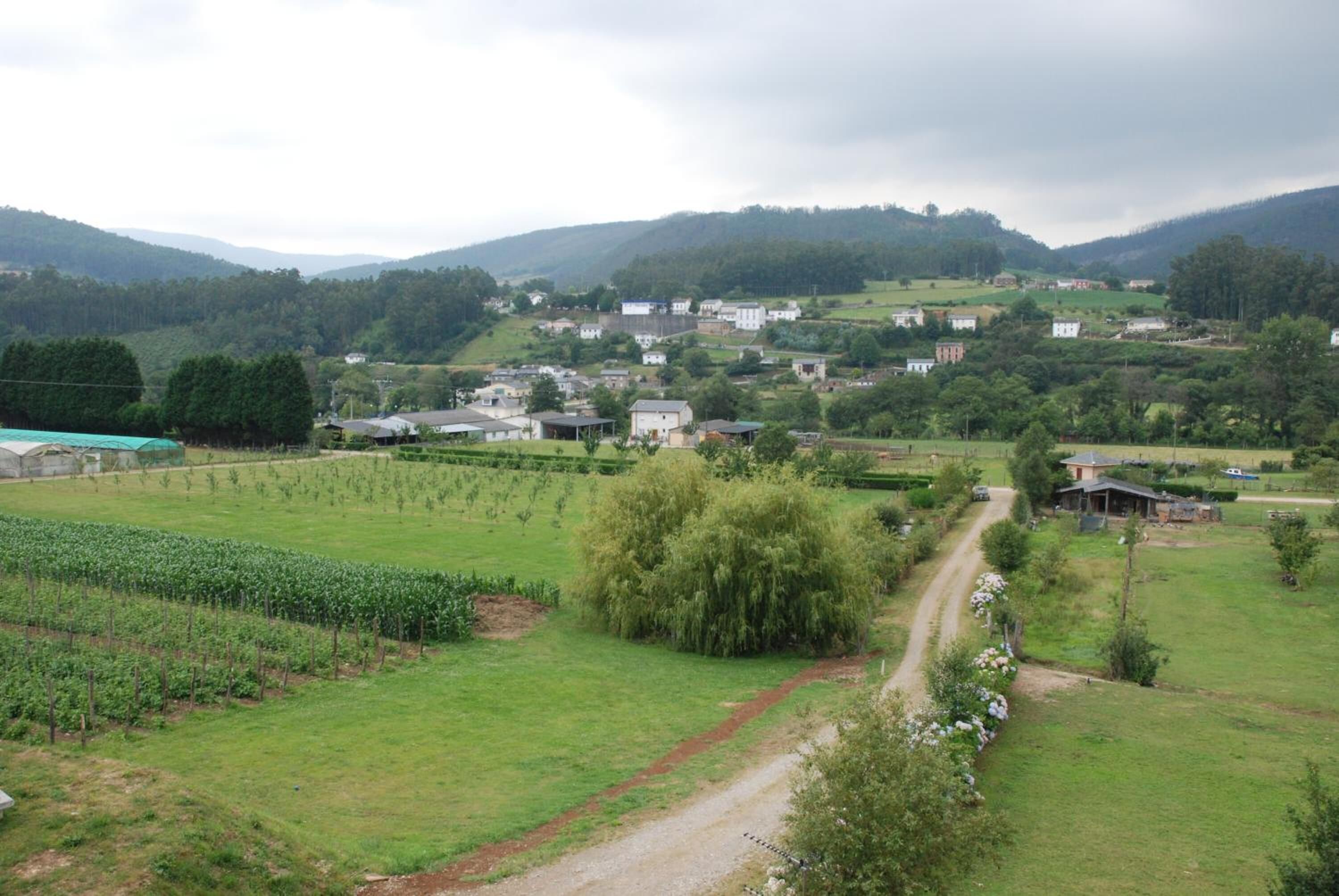Foto - La Casona de Amaido
