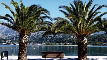 Un banc au bord d’un lac, avec des palmiers et une chaîne de montagnes en arrière-plan.