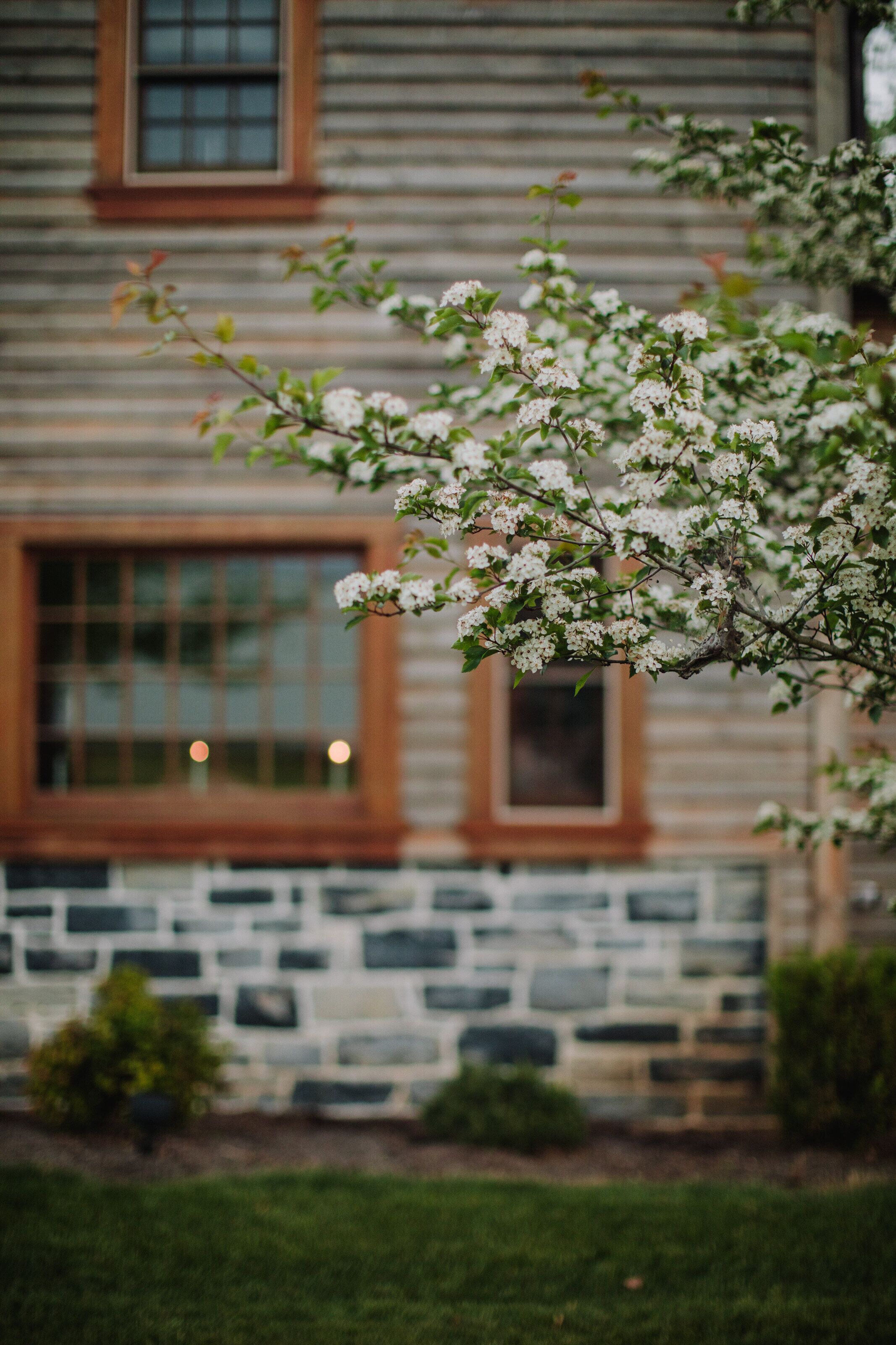 A building with stone and wood exterior, a window, and a tree with white flowers.