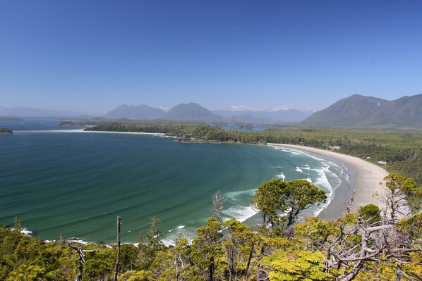 Hiking - Black Bear Guesthouse (Tofino)