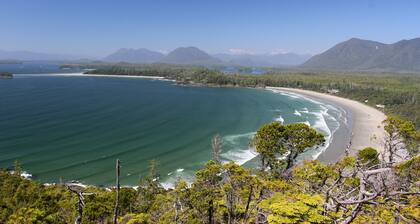 Black Bear Guesthouse