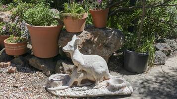 Jardín