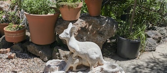 Olinda Country Cottages
