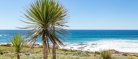 Beach nearby, white sand