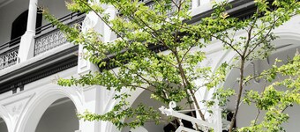 Hotel Challis Potts Point