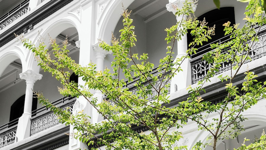 Hotel Challis Potts Point