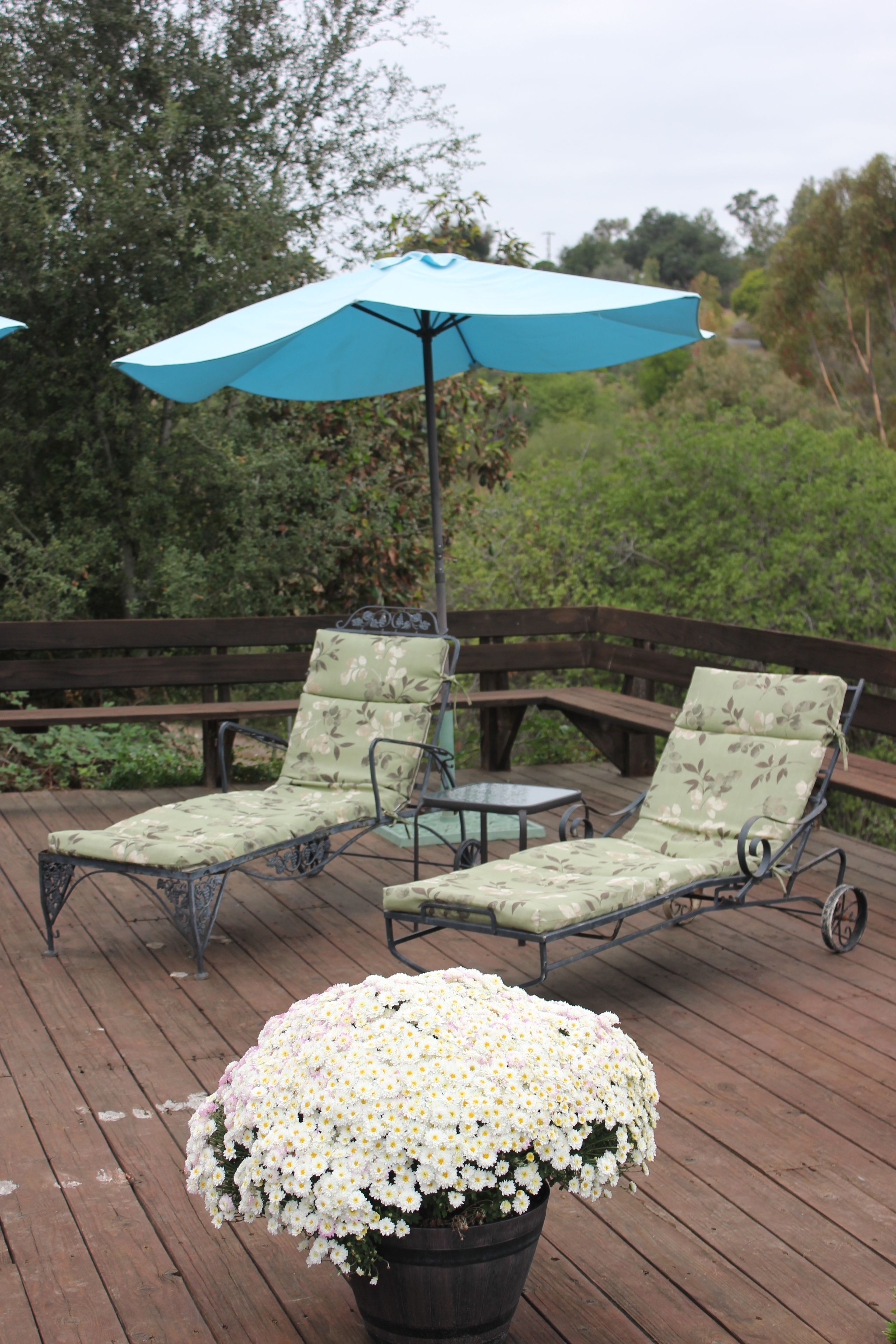 Een houten terras met twee lounge stoelen en een tafel, omgeven door een houten hek en begroeiing.