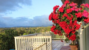 Ein Balkon mit Geländer, ein Blumentopf mit roten Blüten und eine Aussicht auf eine entfernte Landschaft.