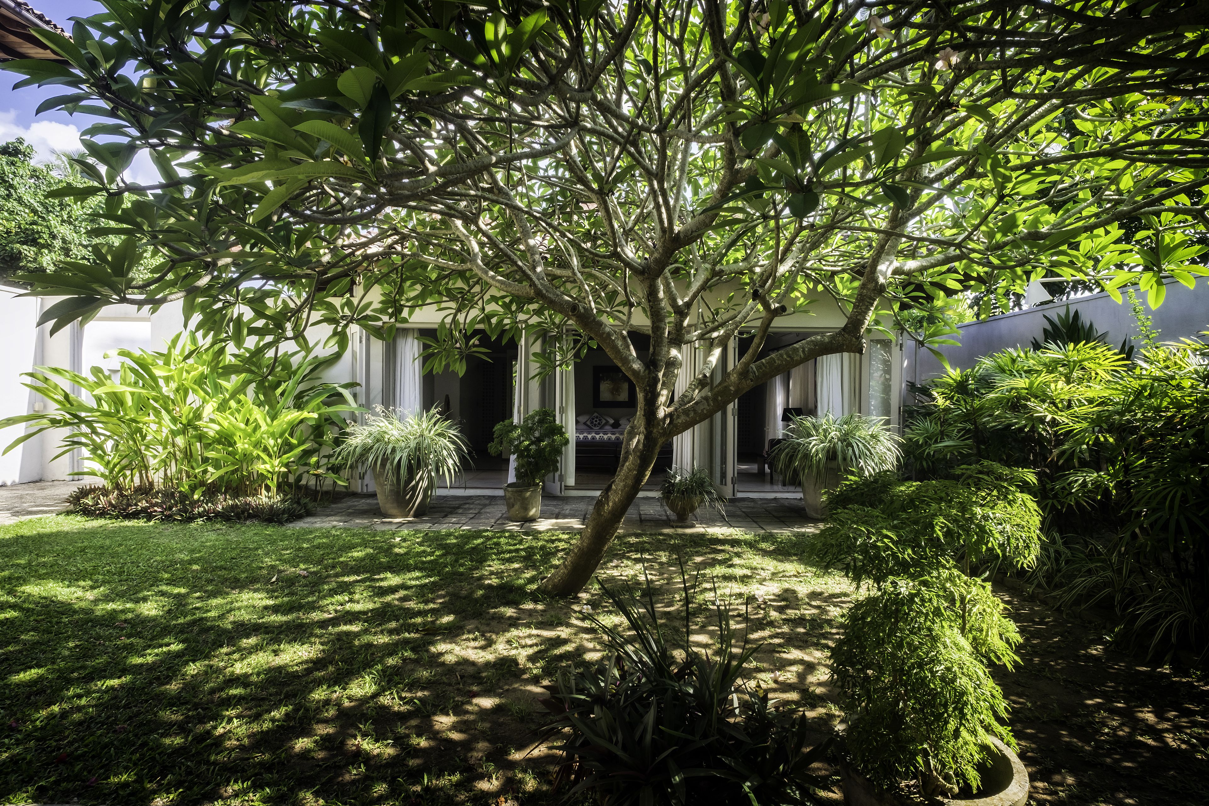 Suite, 1 King-Bett, Gartenblick | Terrasse/Patio