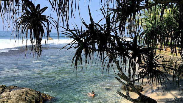 Une plage à l’eau claire, une personne qui nage et des palmiers.