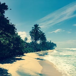 On the beach, white sand, beach shuttle, beach towels