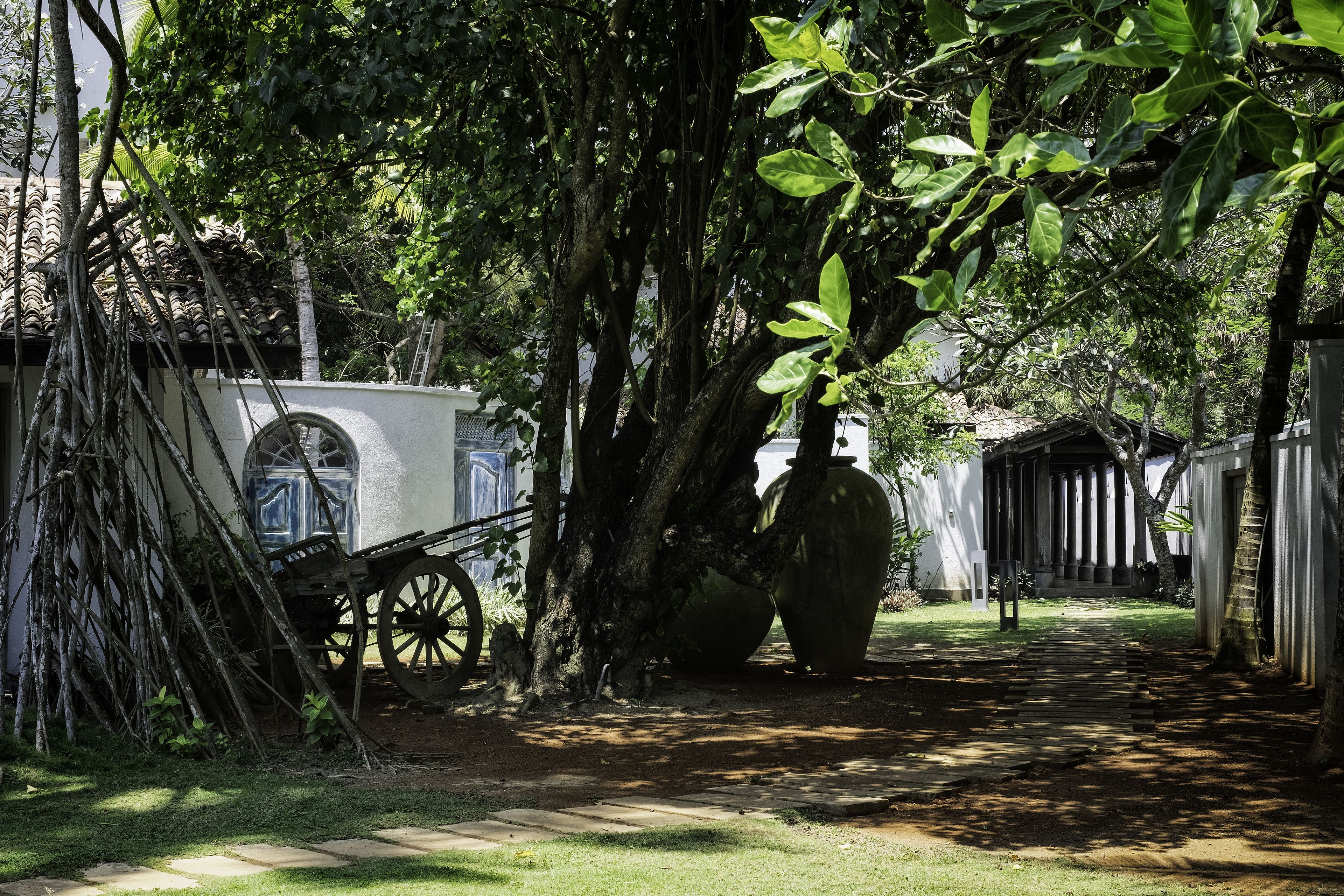 A pathway lined with trees and a large vase, leading to a building with a white facade and columns.