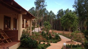 Ảnh chưa phân loại, 5 trong số 32 ảnh, nút