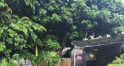 Galaxy Homestay
