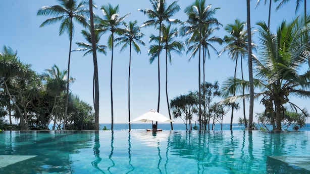 A clear blue pool surrounded by tall palm trees, with a person relaxing under a white umbrella. - Eraeliya Villas & Gardens (Weligama)