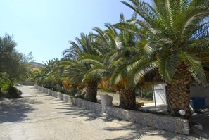 Property grounds - Ammoudi Hotel (Agios Vasileios)
