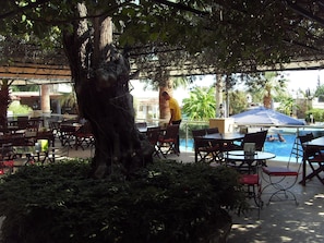 Outdoor dining - La Rosa Hotel (Bodrum)