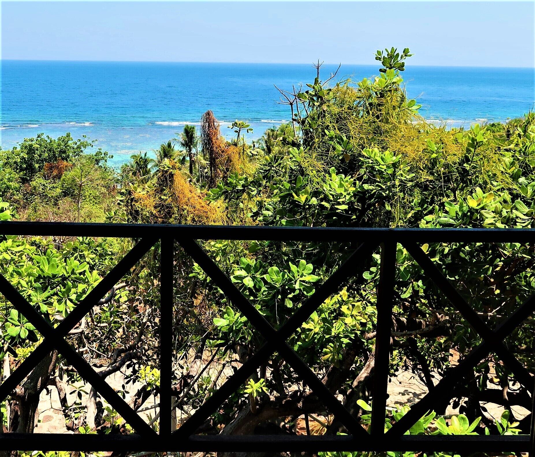 A view of the ocean through dense foliage, with a metal railing in the foreground.