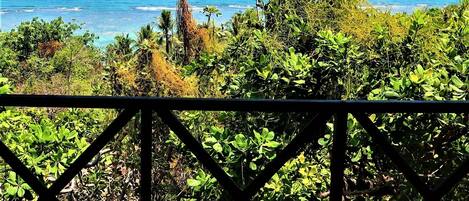 A view of the ocean through dense foliage, with a metal railing in the foreground.