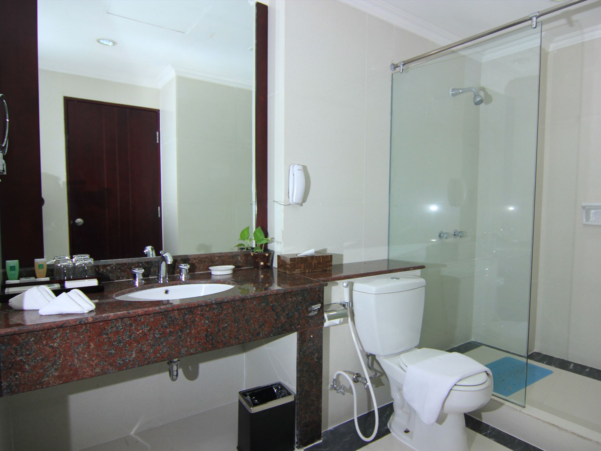 suite | bathroom | shower, free toiletries, hair dryer