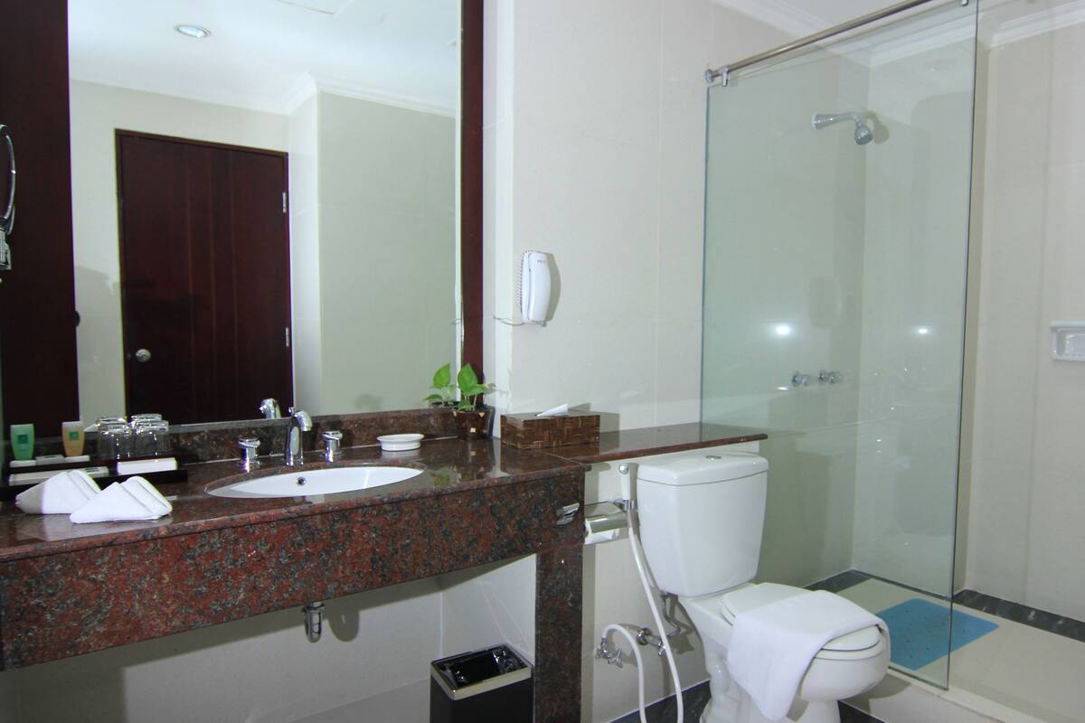 suite | bathroom | shower, free toiletries, hair dryer