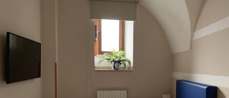 Un dormitorio con cama, una ventana con planta, un radiador, un televisor y una mesita de noche.