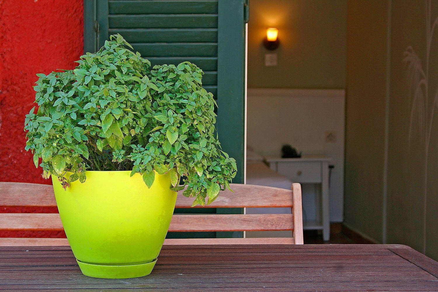 A bright yellow planter with a lush green plant on a wooden table.