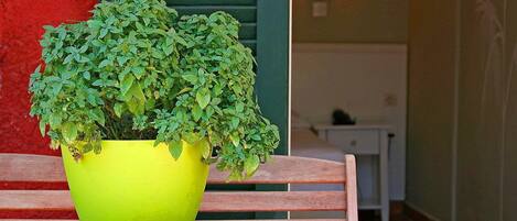 A bright yellow planter with a lush green plant on a wooden table.