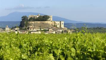 A historic fortified town with a prominent castle on a hill, surrounded by lush greenery and distant mountains.