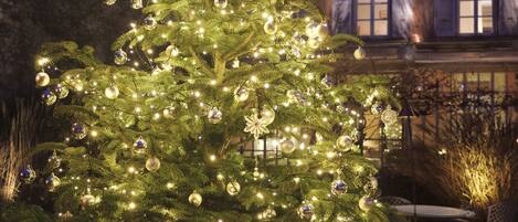 A Christmas tree with lights and ornaments in front of a building with windows and shutters.