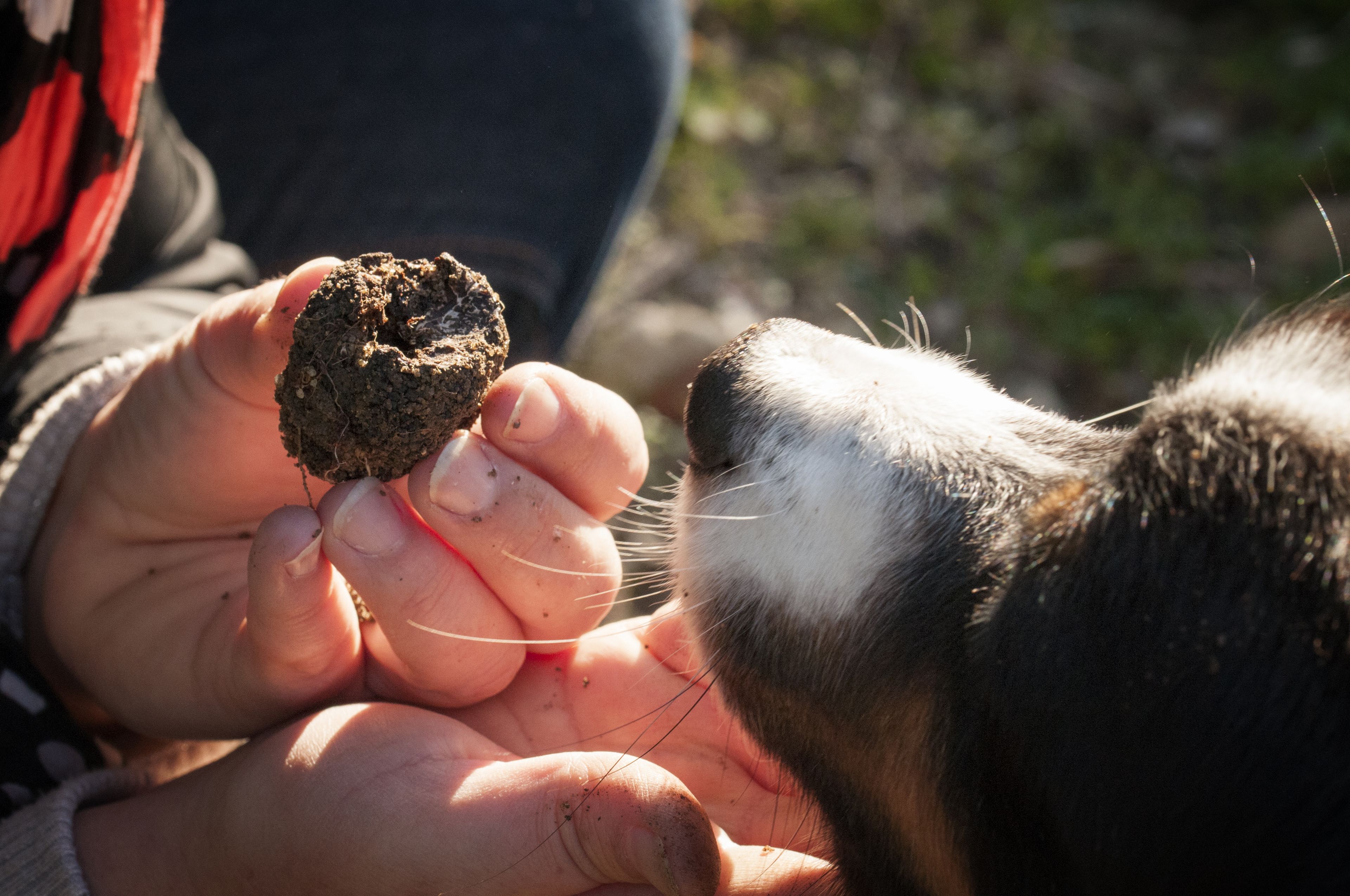 children’s activities