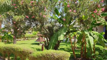 Jardín