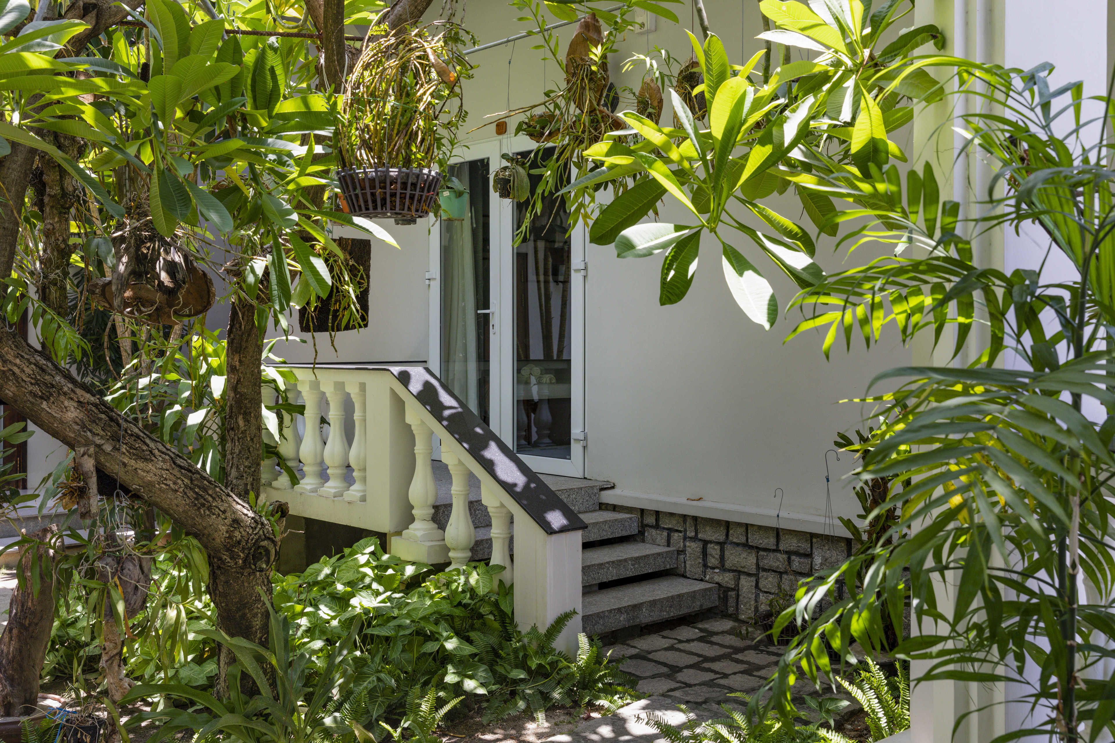 Garden view