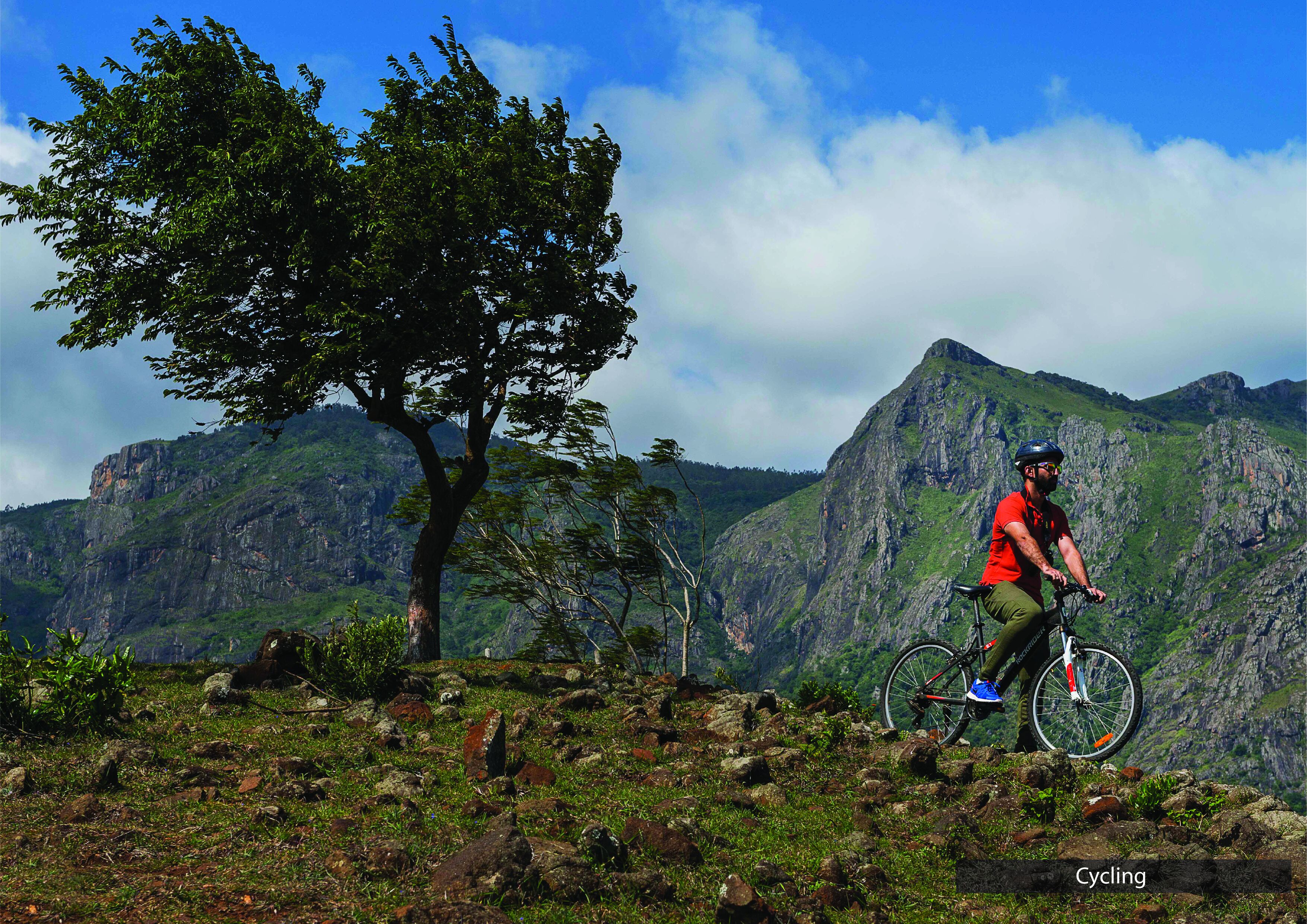 residence | mountain view