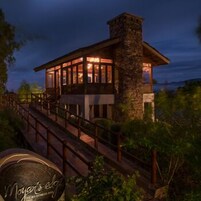 International cuisine