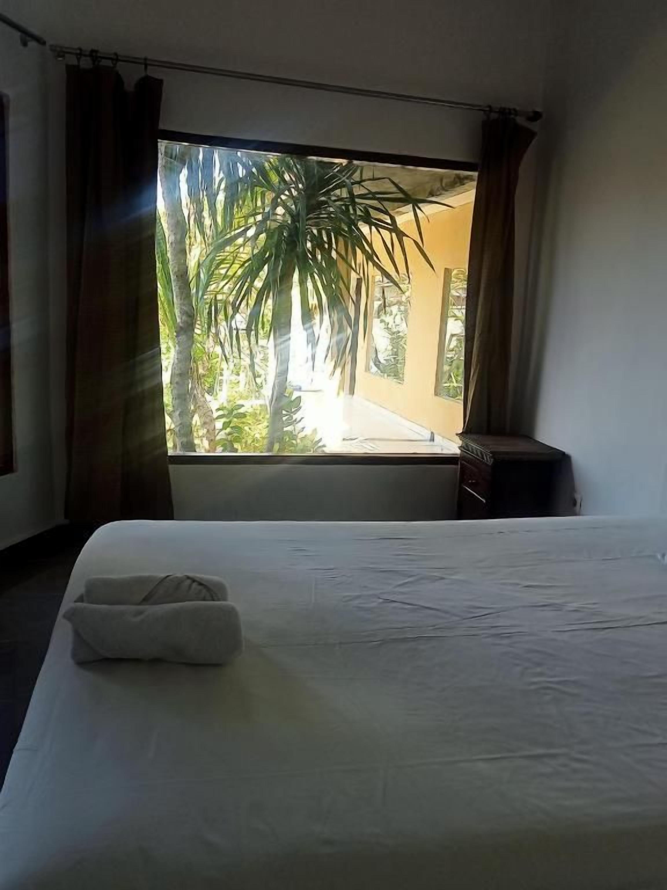 A hotel room with a bed, a window with curtains, and a view of palm trees.
